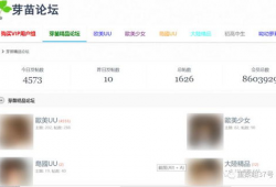 成人网站视频,激情与禁忌的交织